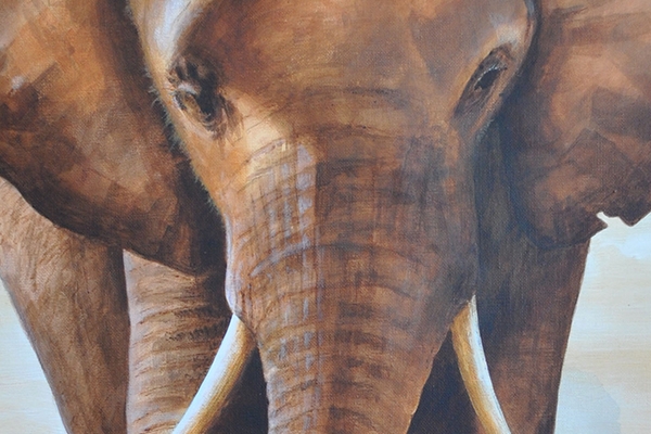 Peinture d'éléphant